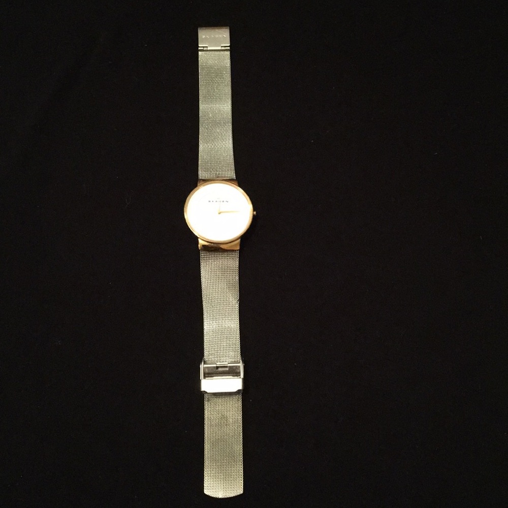 Skagen watch